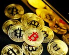 Die Mehrheit aller Millionäre in den USA investiert in Crypto, wobei nicht nur in Bitcoin und Ethereum, sondern auch in Meme-Coins wie Shiba Inu Coin und Dogecoin investiert wird (Bild: Executium)