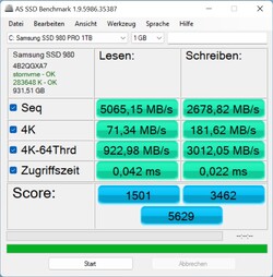 Unterdurchschnittliche Werte in AS SSD für eine 980 Pro