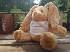 Sony Xperia 1 VII: Beispielfoto