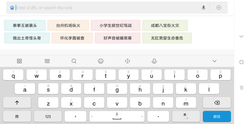 Xiaomi Mi Max 3 - Eingabegeräte