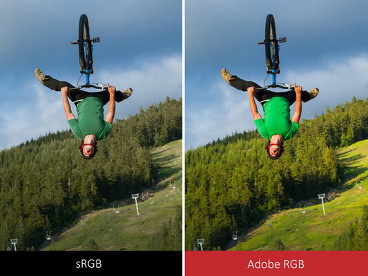 AdobeRGB kann deutlich mehr gesättigte Farben darstellen als sRGB (Quelle: ViewSonic)