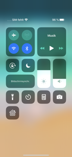Apple iPhone XS Max Software