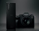 Das Sony Xperia 1 II bekommt ein grundlegendes Kamera-Feature per Software-Update nachgereicht. (Bild: Sony)
