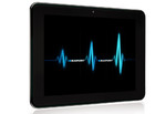 Blaupunkt Endeavour 800
