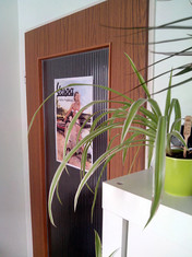 Hauptkamera 8 MP mit AF und LED-Blitz