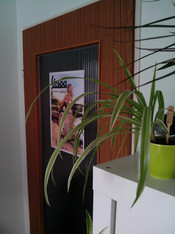 Hauptkamera 8 MP mit AF