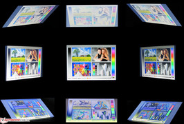 Blickwinkel Toshiba Satellite L875D-10E