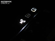 leuchten selbige hübsch in der Dunkelheit.