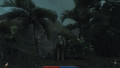 Risen High 25fps Risen High 25fps