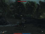 Risen: unspielbar, 20fps in Low 800x600