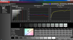 Graustufen-Test mit Calman