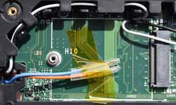 M.2 Steckplatz ist nur WWAN fähig