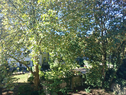 Aufnahme der Frontkamera