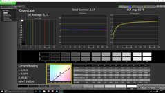 Graustufen nach der Kalibrierung
