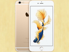 Apple: Bestellungen für iPhone Komponenten reduziert