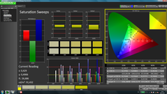 CalMAN - Farbsättigung