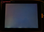 Screen Bleeding auf der Unterkante unseres schwarzen Testmodells. Screen Bleeding auf der Unterkante unseres schwarzen Testmodells.