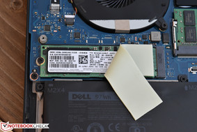 Die interne M.2 PCIe NVMe SSD