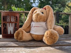 Google Pixel 10 Pro: Beispielfoto