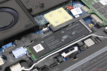 Belegter SSD-Steckplatz. Dell bietet optional eine kleine Klappe auf der Bodenplatte an, um den Zugang zu diesem Laufwerk zu erleichtern, ohne die gesamte Bodenplatte entfernen zu müssen.