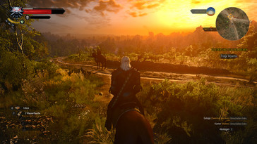 The Witcher 3...
