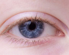Google: Augen-Scan kann Krankheiten vorhersagen