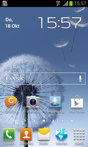 mit dem hauseigenen Launcher Touchwiz 4.0,