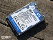 Es ist eine sehr leise Scorpio Blue mit 8 MB Cache.