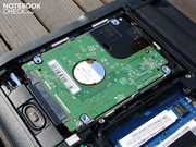 Die 250 GB Festplatte von Western Digital ist sehr leise.