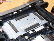 Die 2,5-Zoll HDD liegt unverschraubt in einer gepufferten Rahmung.