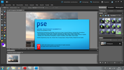 Auch mit dabei: Adobe Photoshop Elements 9