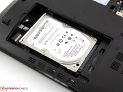 Die Seagate-Festplatte ist recht laut, im Leerlauf bestimmt sie den Grundpegel, nicht der Systemlüfter.