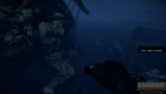 Battlefield: Bad Company 2 - High 29 FPS