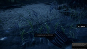 Bei Details High klappt es auch noch gut, 32fps