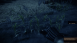 Battlefield 2: Gerade so flüssig in der mittleren Einstellung aber nicht in WXGA++