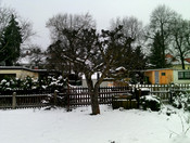Rückkamera (8,0 MP)