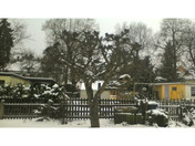 Frontkamera (2,0 MP)