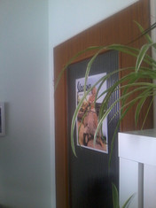 Frontkamera 2 MP