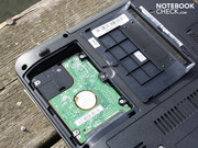 Die 250 GB von Western Digital arbeiten sehr leise.