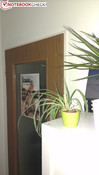 Hauptkamera mit LED-Blitz