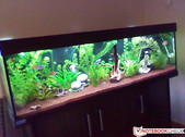 Frontkamera: 0,3 MP