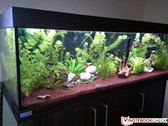 Hauptkamera: 8 MP