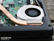 Die Hitachi Festplatte mit 250GB kann ganz simpel getauscht werden.