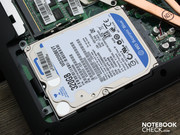 Die Western Digital Festplatte sitzt direkt zwischen den anderen Bauteilen.
