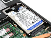 Die 500 GB Festplatte ist eine Western Digital Scorpio Blue.
