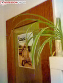 Frontkamera mit VGA