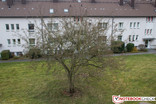 Referenzkamera: Canon EOS 600D, 18 MP