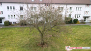 rückwärtige Kamera: 8 MP