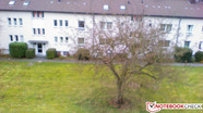Frontkamera: 1,3 MP