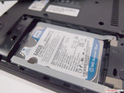 WD Scorpio Blue mit 650 GB und 5400 U/Min